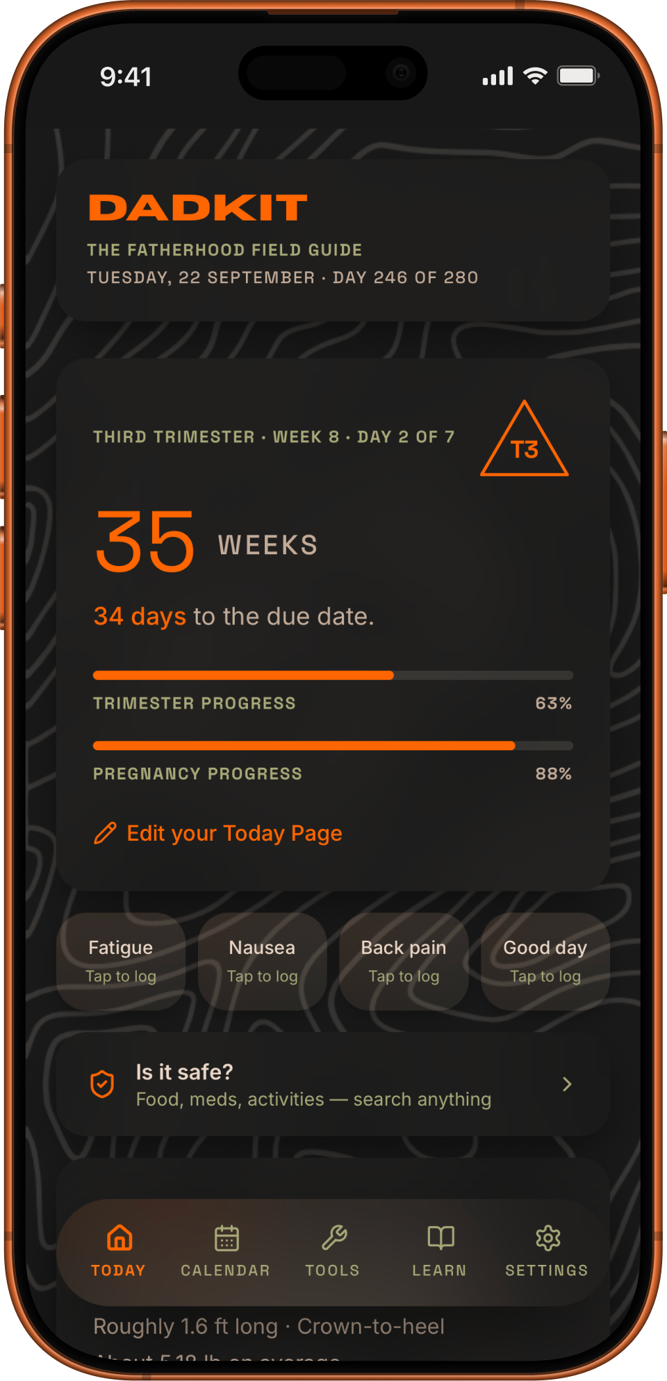DadKit's weekly feed showing the current week, what's developing, and what to expect